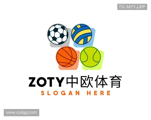 介绍zoty中欧