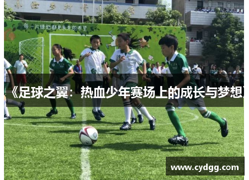 《足球之翼：热血少年赛场上的成长与梦想》